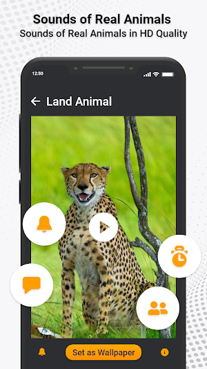 Animal Ringtones & Sounds Screenshot 1