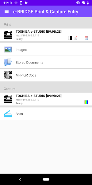 e-BRIDGE Print & Capture Entry Screenshot 0