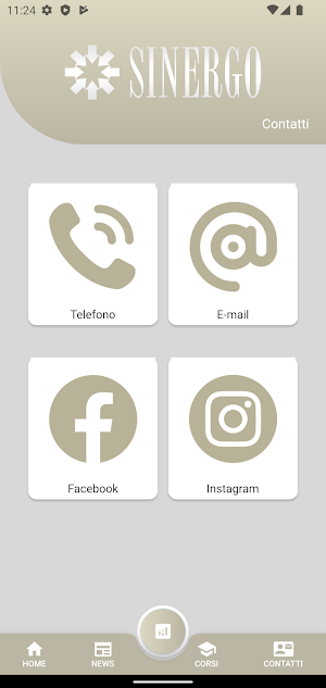 Sinergo Screenshot 1
