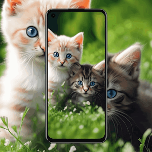 Cat Wallpapers Screenshot 3