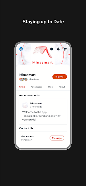 Minasmart Screenshot 2