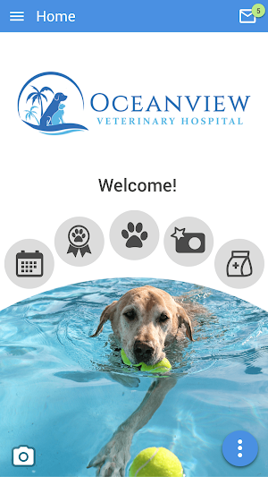 Oceanview Vet Screenshot 0