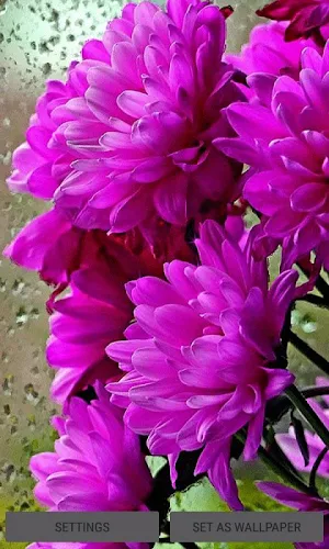 Shiny Flowers Live Wallpaper Screenshot 0