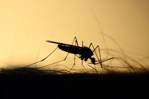 Mosquito Sound Prank screenshot 1