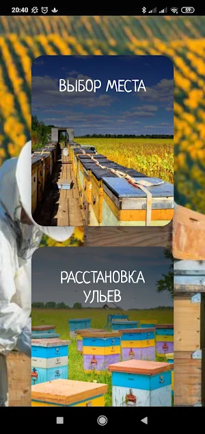 Свой мёд! - Инструкция для начинающего пчеловода. Screenshot 0