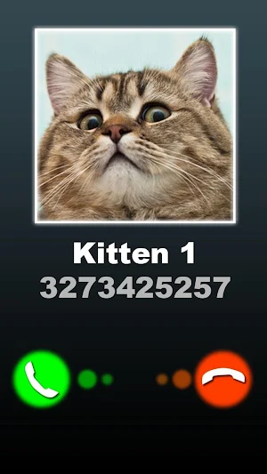 Fake Call Kitten Joke Screenshot 1