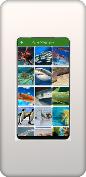 صور حيوانات Screenshot 2