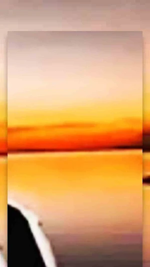 DJ Kupang Screenshot 3