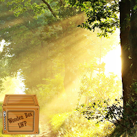 forest nature wallpaper