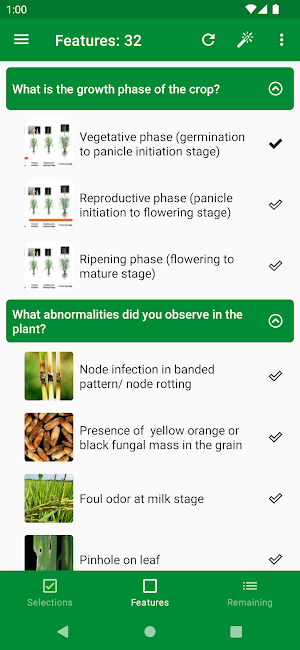 Rice Doctor Assam EN Screenshot 1