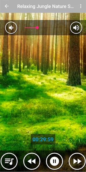 Jungle Natural Sound Screenshot 0
