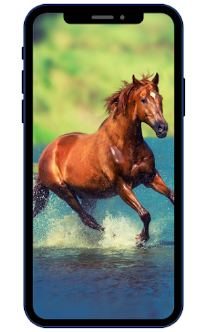 Horse Wallpapers Screenshot 0