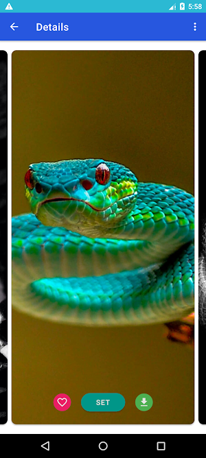Snake Wallpaper 4K Screenshot 1