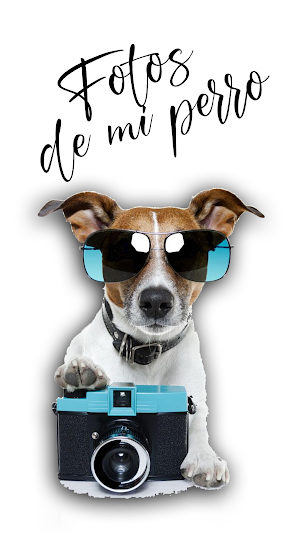 Fotos De Mi Perro Imágenes Screenshot 0