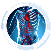 Anatomy and Physiology Quizlet