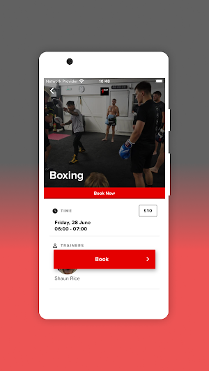 Impact MMA Screenshot 2