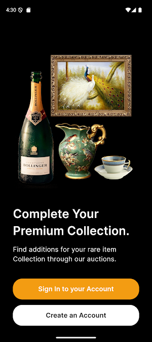 Monetarium Auction Screenshot 1