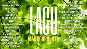 Lagu Manggarai NTT Full Album Screenshot 0