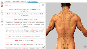 Visual Acupuncture 3D Screenshot 3