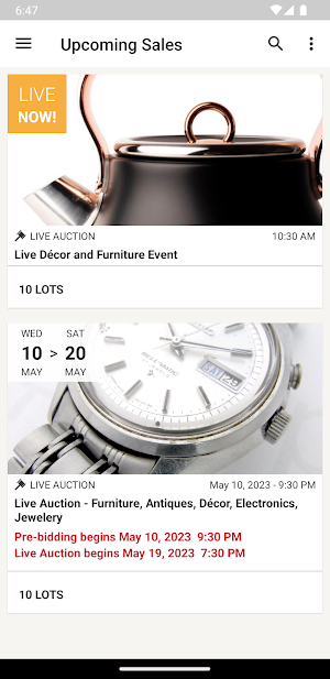Auction Bee Screenshot 0