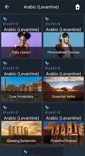 Learn Levantine Arabic. Speak Levantine Arabic. Screenshot 0