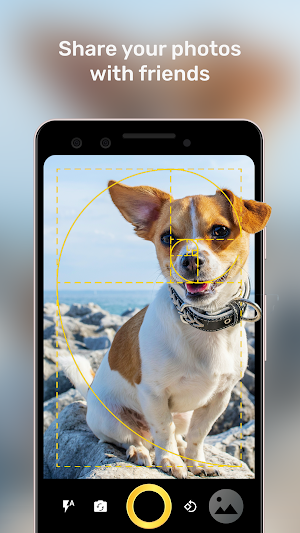 Golden Ratio Camera - Pro Screenshot 3