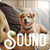 Donkey Soundboard Ringtones