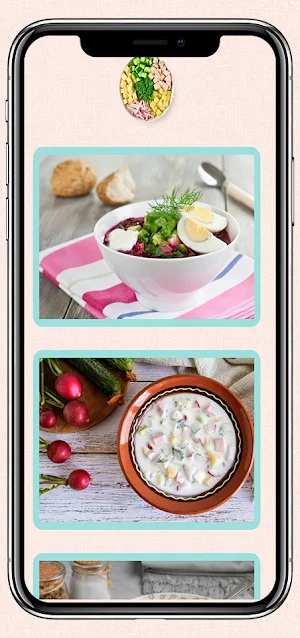 Okroshka Recipes Screenshot 2
