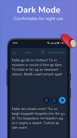 Irish-Scots Gaelic translator Screenshot 3
