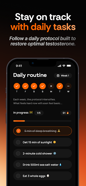 Ritual: Testo reset in 90 days Screenshot 1