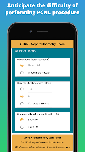 Kidney Stone Scoring Screenshot 2