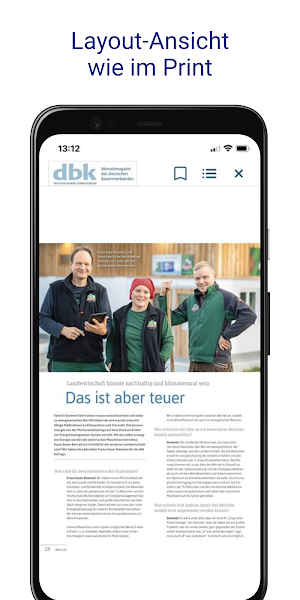 dbk online Screenshot 2