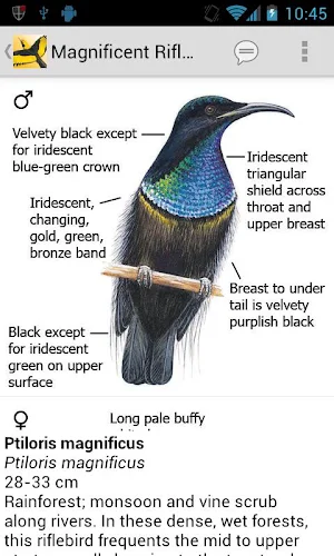 Morcombe's Birds of Aus (Lite) Screenshot 2