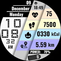 SY08 Wear OS Watch Face