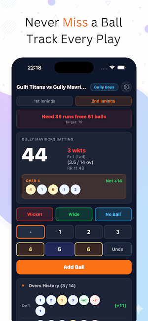 Double Wicket Screenshot 1