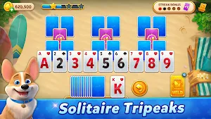 Big Solitaire Classic Screenshot 0