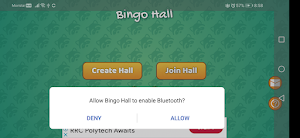 Bingo Hall Screenshot 1