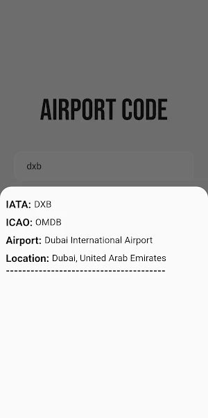 Airports code Screenshot 3
