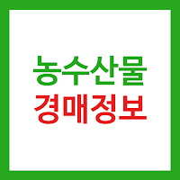 농수산물 실시간 경매 가격 정보 - 도매시장