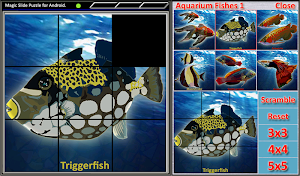 Magic Slide Puzzle A Fishes 1 Screenshot 2