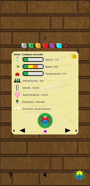 Spiders breeding - Terrarium Spiders Screenshot 3