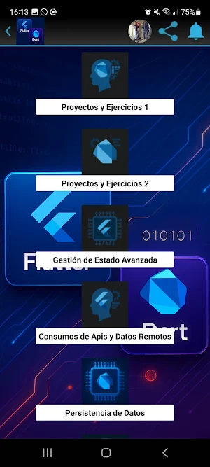 Flutter y Dart Curso Gratis Screenshot 3