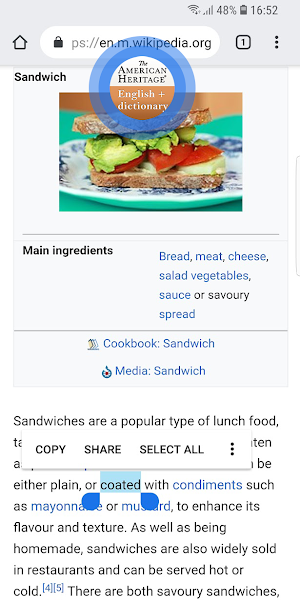 American Heritage English Plus Screenshot 3