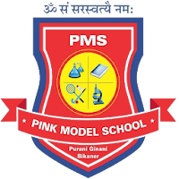Pink Model Bikaner