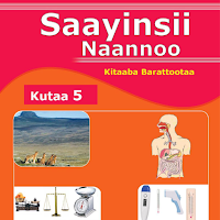 Saayinsii Naannoo Kutaa 5ffaa