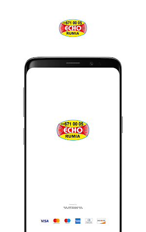 Echo Taxi Rumia Screenshot 0