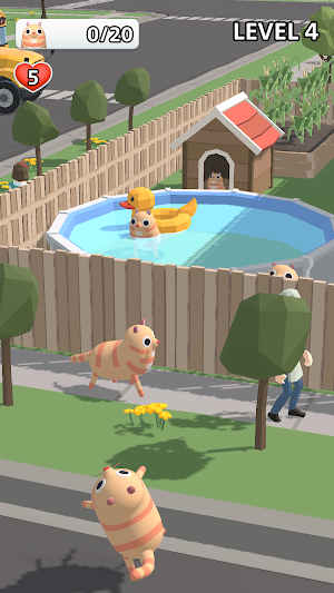 Peek a Paw Screenshot 3