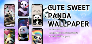 Cute Sweet Panda Wallpaper HD Screenshot 0