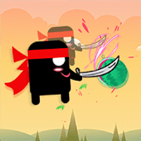 Ninja Master