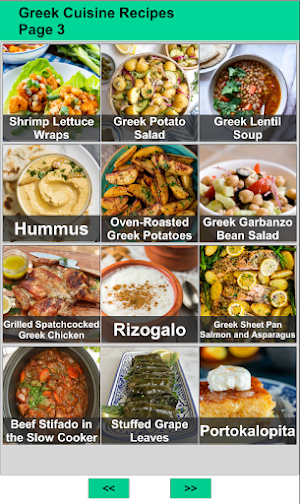 100 Greek Cuisine Recipes Screenshot 2